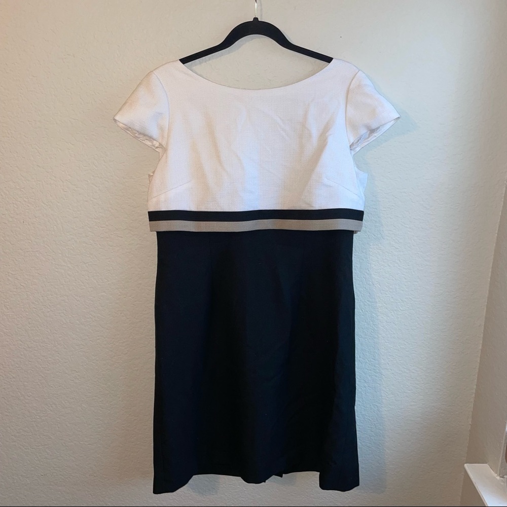Tahari ASL Business Dress